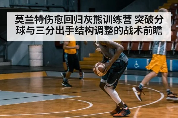 莫兰特伤愈回归灰熊训练营 突破分球与三分出手结构调整的战术前瞻