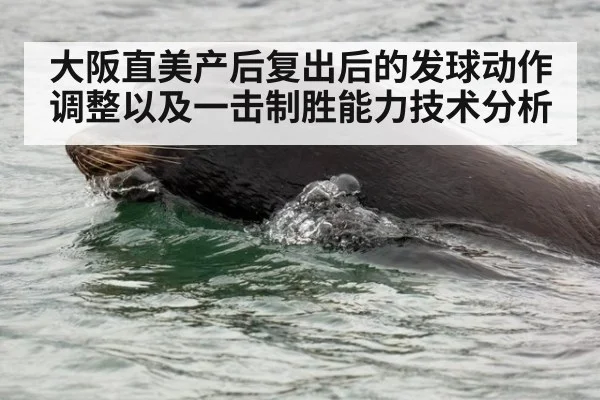 大阪直美产后复出后的发球动作调整以及一击制胜能力技术分析